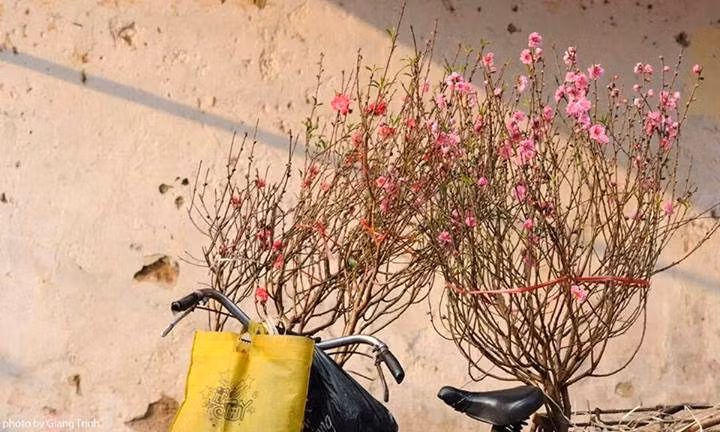 Anh ve Tet xua duoc chia se nhieu nhat