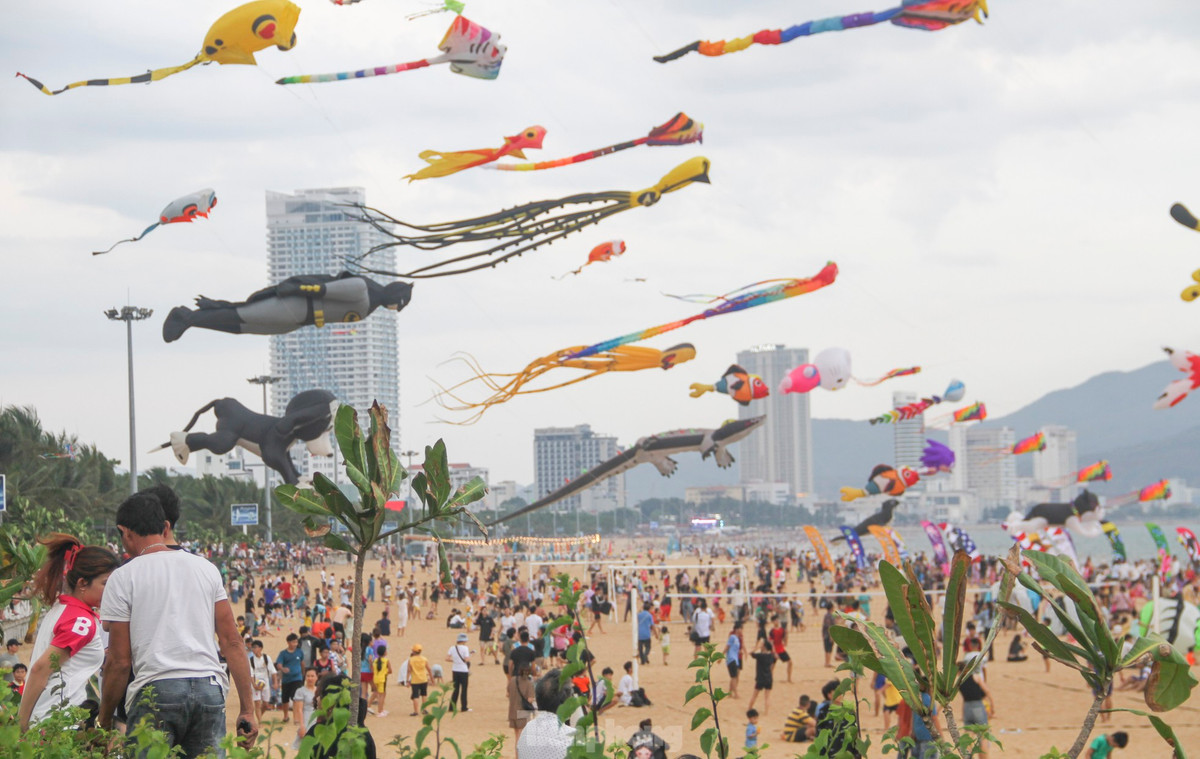 Bà Võ Thị Thu Hồng (60 tuổi, phường Hải Cảng, TP. Quy Nhơn) cho biết rất thích thú khi lần đầu tiên được xem những con diều lạ mắt. Ảnh: Trương Định.