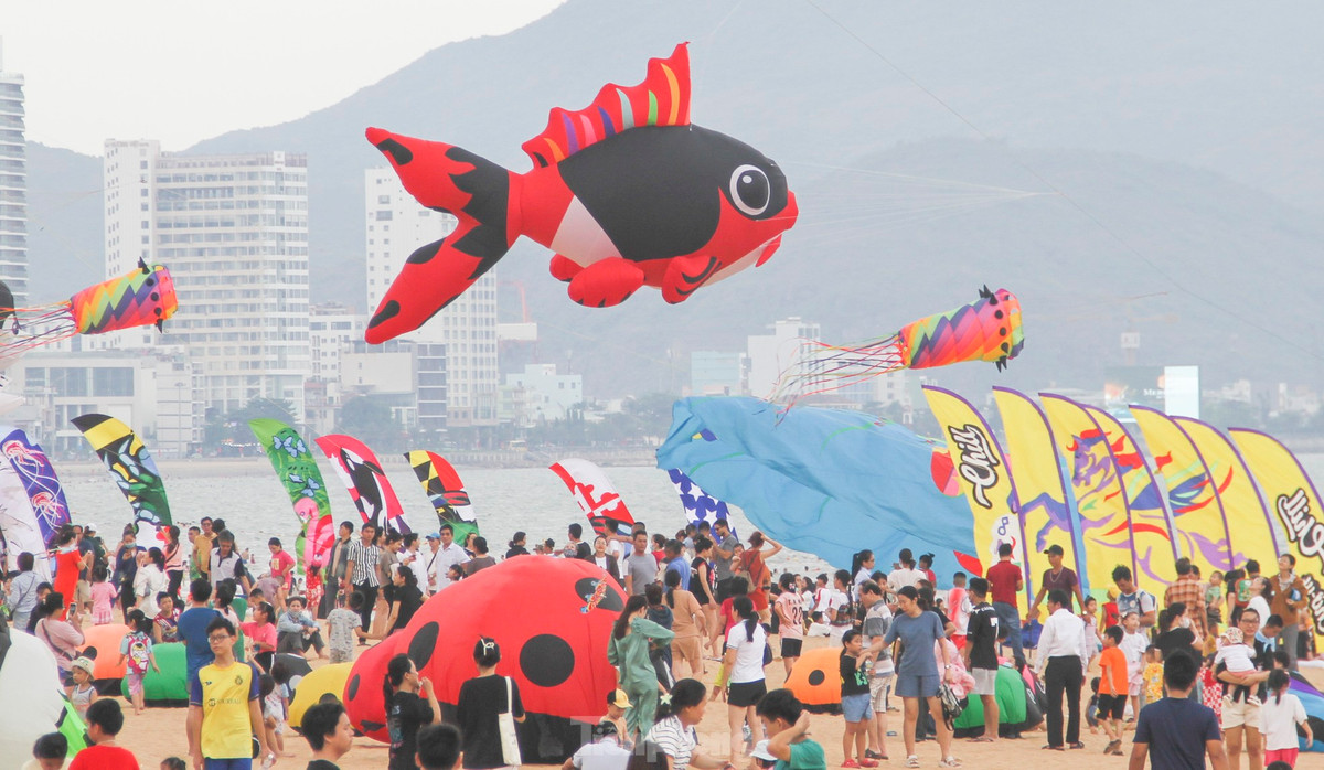 Sự kiện diễn ra tại TP. Quy Nhơn 2 ngày, và 1 ngày tại xã Nhơn Hải, TP. Quy Nhơn. Ảnh: Trương Định.