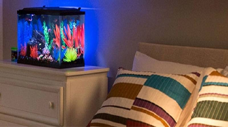 Bể cá: Nhiều ý kiến cho rằng không nên để bể cá trong phòng ngủ vì chúng ảnh hưởng đến sức khỏe. Phòng ngủ cần sự yên tĩnh thì sự chuyển động của cá, của nước gây nên áp lực về mặt tâm lý, suy tư,… điều này không tốt cho giấc ngủ.