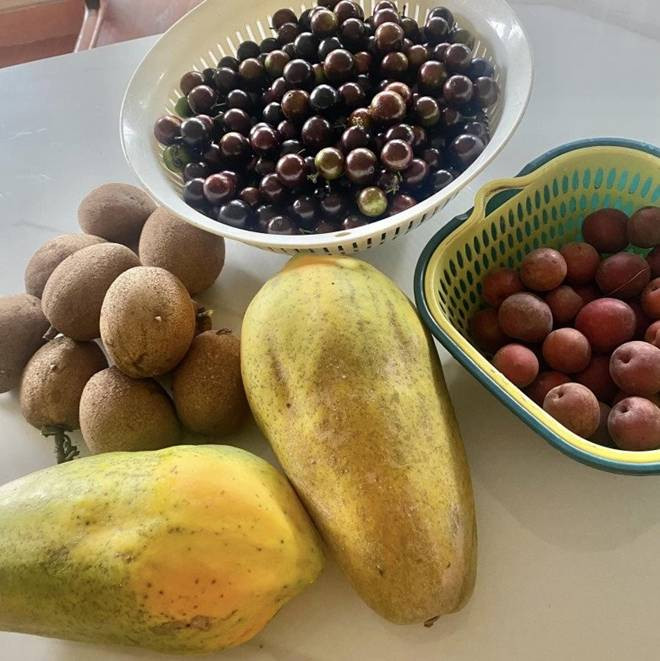 br/> Dịp lễ 1/5, nữ nghệ sĩ đã khoe hình ảnh thu hoạch hoa quả và bày tỏ: "Chuẩn bị đón con cháu nào. Nhà mình bây giờ ăn là chính - vui là chính - làm 4 ngày - ăn chơi 3 ngày".