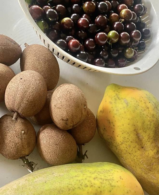 br/> "Hưởng thụ vừa phải trèo cây hái quả. Căng nhất là theo dõi bọn chuột - ong - chim. Nhoắng cái là ăn hoa quả", bà cho biết.