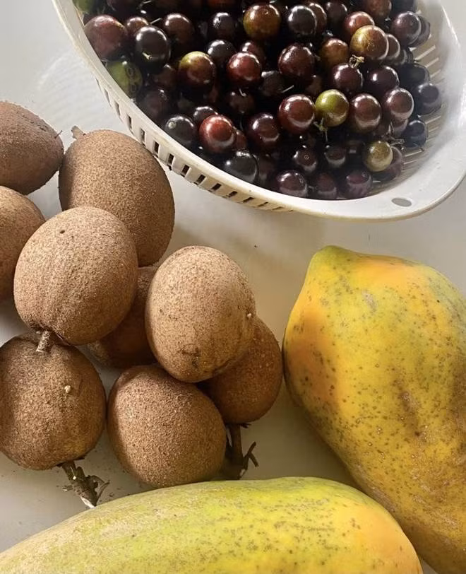 br/> "Hưởng thụ vừa phải trèo cây hái quả. Căng nhất là theo dõi bọn chuột - ong - chim. Nhoắng cái là ăn hoa quả", bà cho biết.