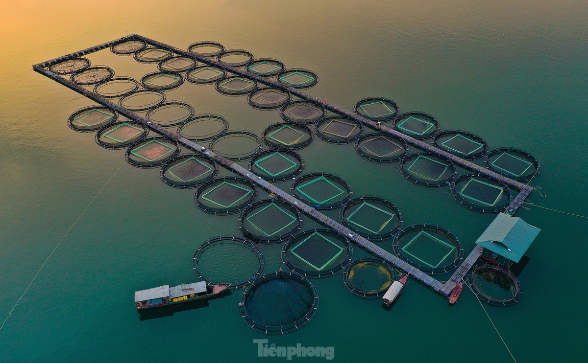 Theo quy hoạch, sẽ xây dựng và phát triển Khu du lịch quốc gia hồ Thác Bà thành một trong những động lực phát triển du lịch của cả nước.