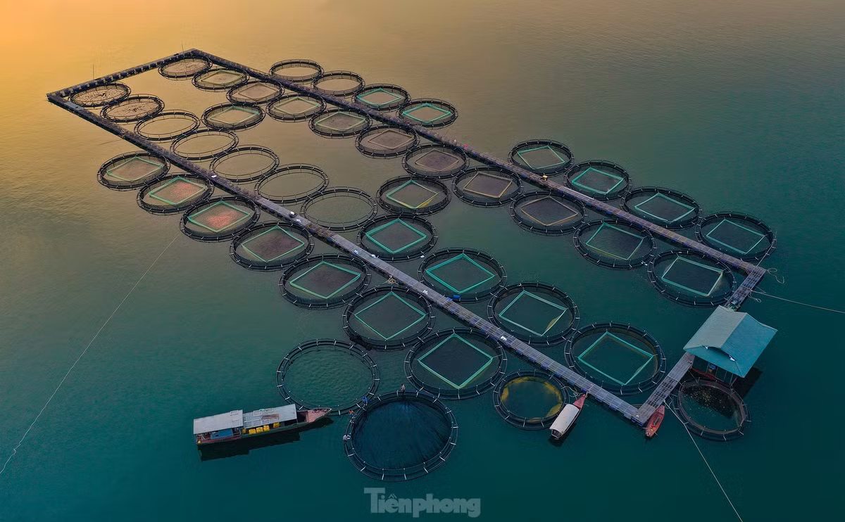 Theo quy hoạch, sẽ xây dựng và phát triển Khu du lịch quốc gia hồ Thác Bà thành một trong những động lực phát triển du lịch của cả nước.