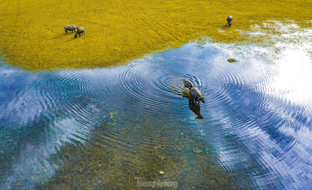 \ Kết hợp hài hòa giữa phát triển du lịch và phát triển đô thị, nông thôn bền vững trên cơ sở bảo tồn, phát huy các giá trị tự nhiên, văn hóa truyền thống...