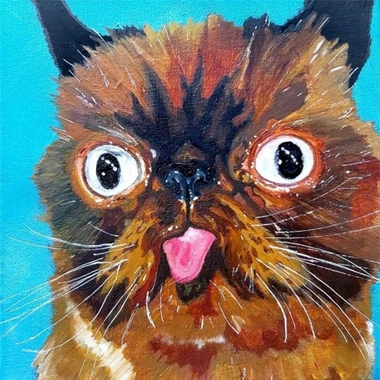 Can canh chu meo dang yeu thich le luoi khi chup anh-Hinh-5