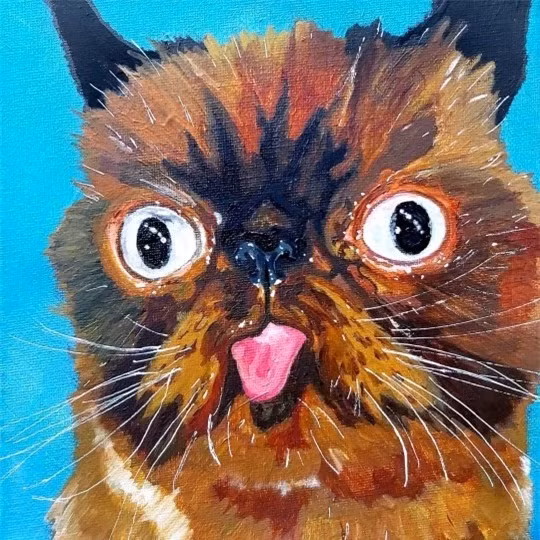 Can canh chu meo dang yeu thich le luoi khi chup anh-Hinh-5