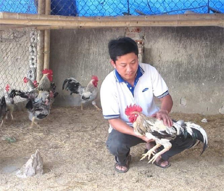 Giang vien Dai hoc nghi viec ve que nuoi “dac san tien vua”, thu bac ty