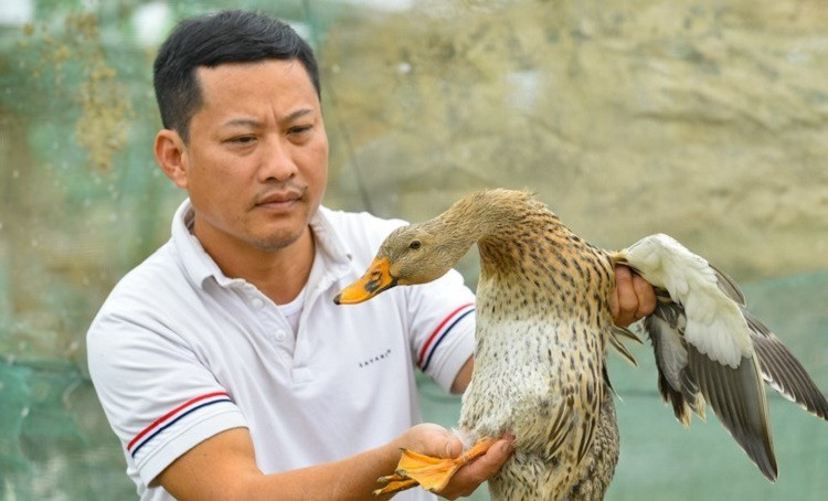Giang vien Dai hoc nghi viec ve que nuoi “dac san tien vua”, thu bac ty-Hinh-4