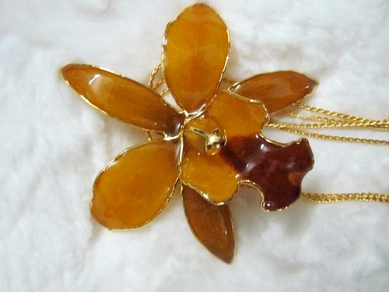 Đây là lần đầu tiên, hoa tươi mạ vàng xuất hiện ở Việt Nam với số lượng có hạn chỉ 50 bông được phân phối trên toàn quốc (25 bông tại Hà Nội và 25 bông tại TP.HCM).