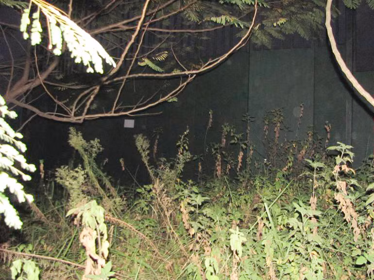 Được khởi công tư tháng 6/2011, với tổng số vốn đầu tư lên tới khoảng 560,727 tỷ đồng và dự kiến hoàn thành vào quý IV/2013 nhưng hiện Opulent Paradise vẫn chỉ là một bãi đất trống. Trong ảnh là cổng chính đi vào dự án, cỏ dại mọc ngút ngàn.