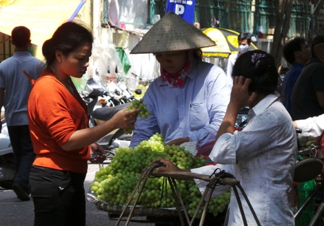 Nho xanh TQ đội lốt nho Ninh Thuận đang làm mưa làm gió trên thị trường Hà Nội. Ảnh: Nguyên Đan.