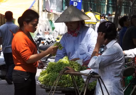 Nho xanh TQ đội lốt nho Ninh Thuận đang làm mưa làm gió trên thị trường Hà Nội. Ảnh: Nguyên Đan.