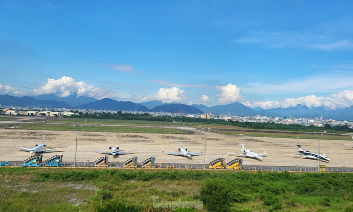 Nguoi dan Da Nang thich thu ngam 'chuyen co ty phu' tu san thuong-Hinh-4