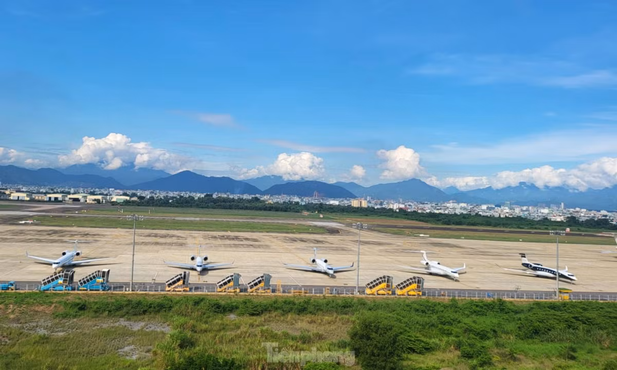 Nguoi dan Da Nang thich thu ngam 'chuyen co ty phu' tu san thuong-Hinh-4