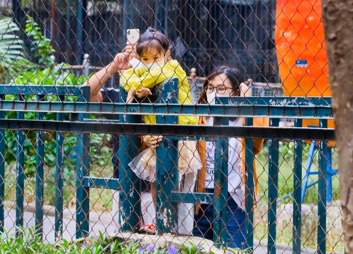 Ha ma baby sieu de thuong khuay dao Vuon thu Ha Noi-Hinh-13