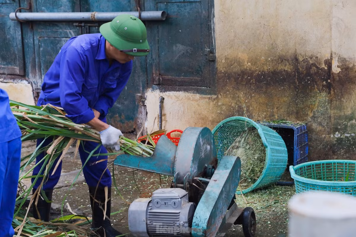 Ha ma baby sieu de thuong khuay dao Vuon thu Ha Noi-Hinh-6