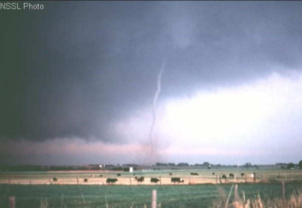 Loc xoay nhu con ran tren bau troi An Do-Hinh-2