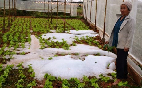  Người dân bàng hoàng sau trận mưa đá