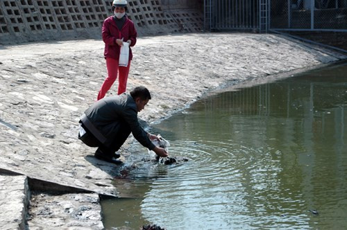 Tuy nhiên, cùng với cá thì nhiều người mang theo cả rác phóng xuống hồ.
