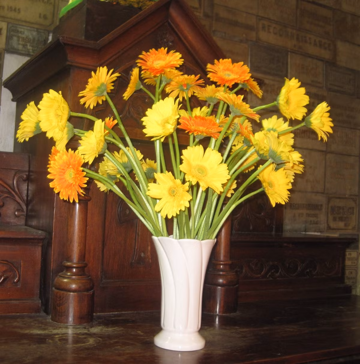 2. Hoa đồng tiền: Cây hoa đồng tiền còn gọi là cây kim tiền. Trong những dịp đầu xuân năm mới, nếu trồng hoa hoặc cắm hoa đồng tiền sẽ mang đến nhiều tài lộc và tiền của cho gia đình. Là biểu tượng của mùa xuân. Chúng cũng rất hữu ích trong việc lọc khí benzen - thường có mặt trong nhiều loại sơn. Vì thế, nếu bạn vừa sơn lại phòng, nên đặt một chậu hoa đồng tiền để loại bỏ các hạt benzen lơ lửng trong không khí.