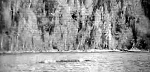 “Quái vật” hồ Kanasi xuất hiện.