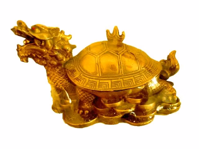 Bạn có thể đặt lên bàn làm việc hoặc vùng gần cửa chính để hoá giải hướng xấu. Bạn cũng có thể để phía sau lưng bạn tại nơi làm việc, nó sẽ trợ giúp bạn trong việc nhận được sự giúp đỡ của sếp cũng như sự thăng tiến trong công việc.