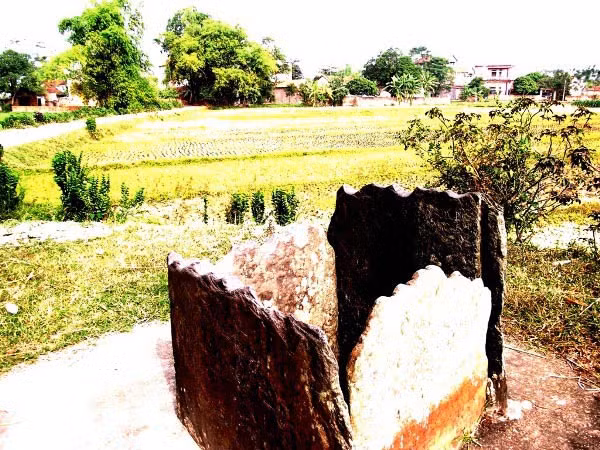 Những giếng cổ này nằm rải rác trong tổng Bá Hạ bao gồm bốn thôn: Quang Vinh, Thiện Chi, Thích Chung và Bá Hương thuộc xã Bá Hiến, huyện Bình Xuyên (Vĩnh Phúc).