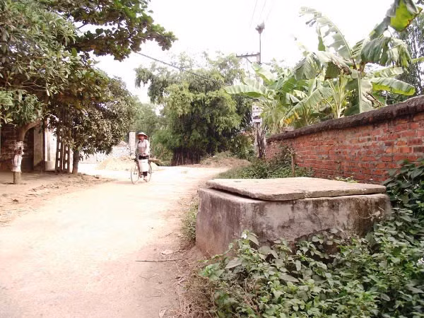 Hàng năm, vào hội Lệ (ngày 15.3 Âm lịch) của vùng, nước từ các giếng cổ trong Bá Hiến được các bậc cao niên múc lên tắm cho tượng trong các đền, chùa. Con em của làng sinh sống, làm ăn gần xa, cứ về làng uống một ngụm nước giếng cổ thì thấy mát lòng mát dạ, mong điềm lành sẽ tới. Cho đến nay, tổng Bá Hạ vẫn cực kỳ cấm kỵ chuyện con gái đến kỳ kinh nguyệt đến gần giếng cổ, soi mình hay múc nước.