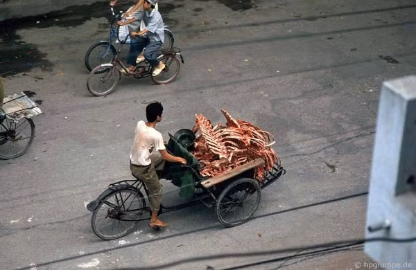 Thời chưa có nhiều xe tải, nhiều người lao động thủ đô mưu sinh bằng nghề lái xích lô. Không chỉ chở người, xích lô còn chuyên chở được nhiều vật dụng cồng kềnh khác.