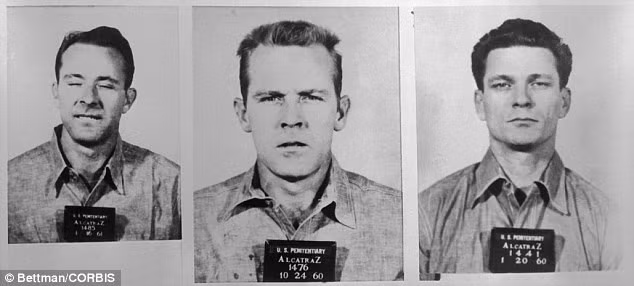 Chân dung 3 kẻ đào tẩu, từ trái qua: Clarence Anglin, John William Anglin và Frank Lee Morris. Nhà tù Alcatraz ngừng hoạt động vào năm 1963 và trở thành điểm du lịch hấp dẫn đối với du khách từ khắp nơi trên thế giới. Alcatraz là địa điểm đặt máy quay nhiều pha vượt ngục trong các bộ phim kinh điển Hollywood. Trong khi đó, vụ trốn trại táo bạo và bí ẩn của 3 tên cướp ngân hàng cũng trở thành đề tài hấp dẫn đối với nhiều đạo diễn. Ảnh: Daily Mail.