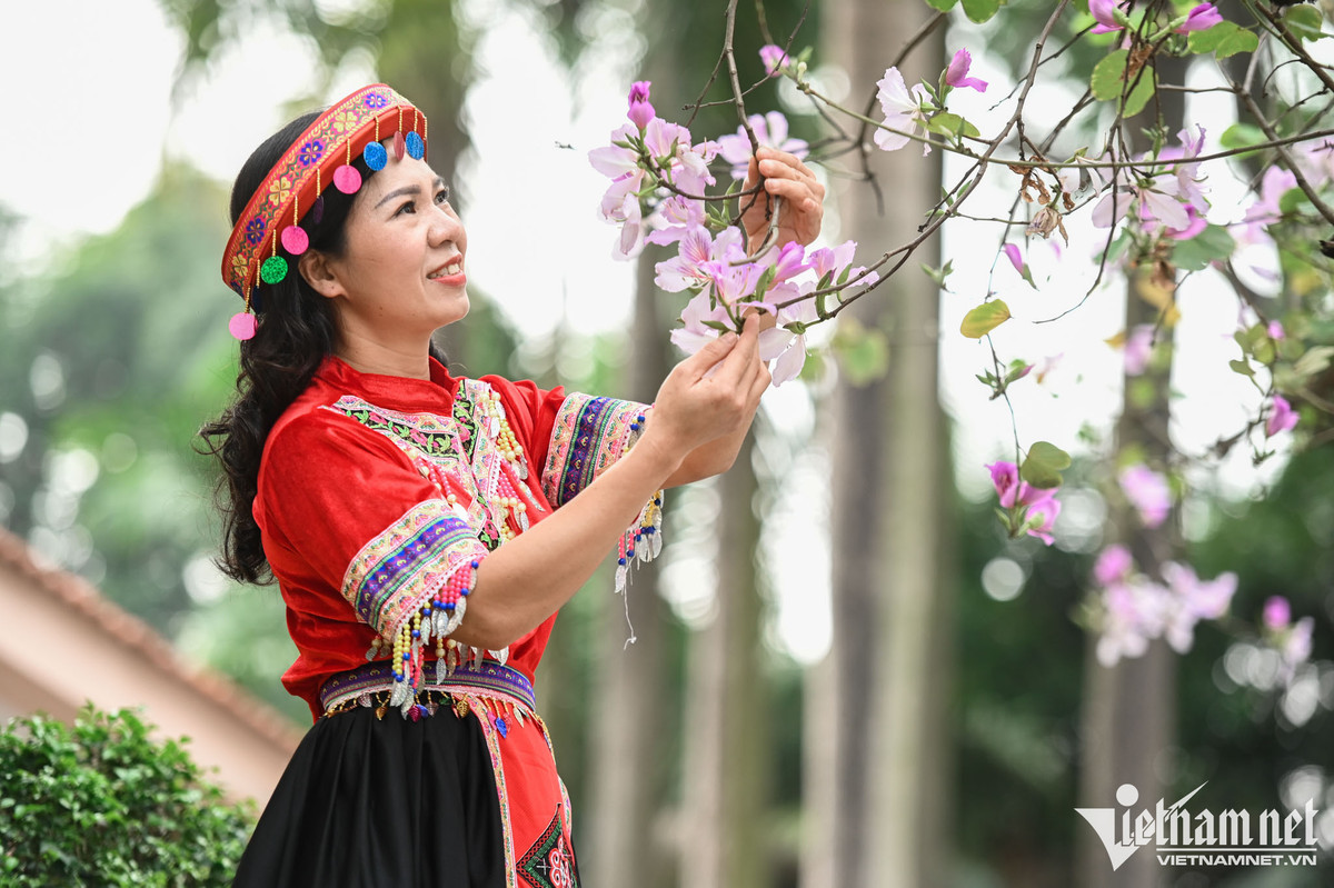 Du bao thoi tiet 28/2: Mien Bac ngay nang, dem lanh duoi 6 do
