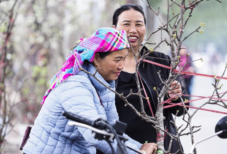 Nụ cười của người vùng cao khi được phục vụ thú "săn" hoa lê của người dân Thủ đô.