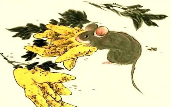 Vì vậy, nam giới tuổi Tý có thể nhận được những cơ hội trời cho, dễ dàng gặt hái tiền bạc rủng rỉnh trong thời gian ngắn. 