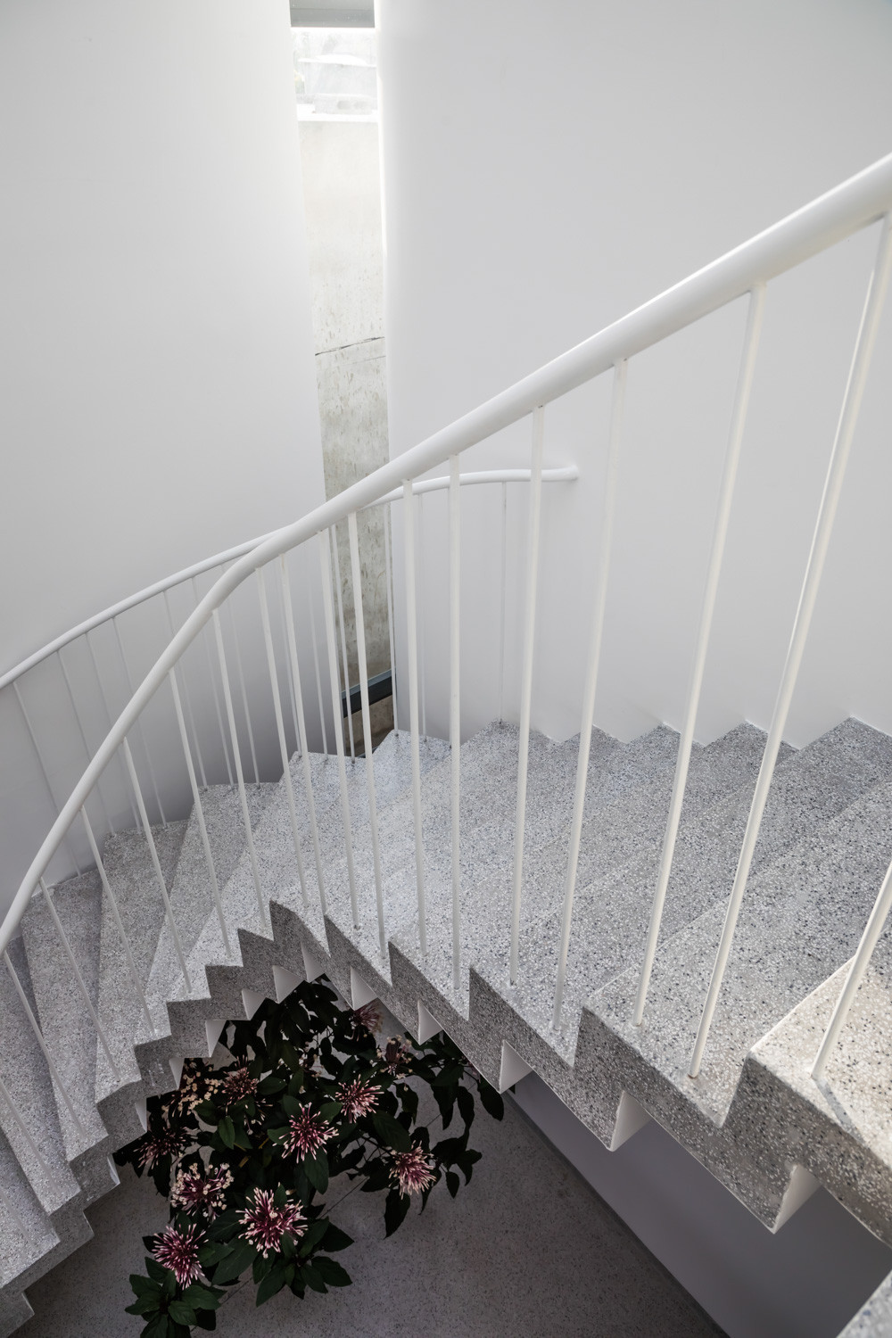 Cầu thang cong kết hợp khoảng thông tầng ngay vị trí gãy góc của khu đất tạo cảm giác ngay ngắn.