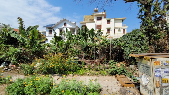 Chi tiet 8 lo dat trieu USD cua cuu Giam doc So Giao duc vua bi ke bien-Hinh-3