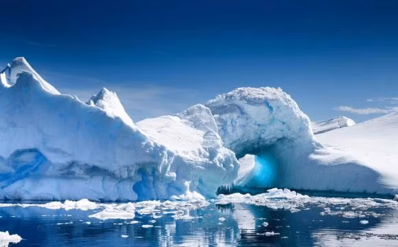 Loai vat bi an duoc phat hien duoi bang o Nam Cuc-Hinh-2