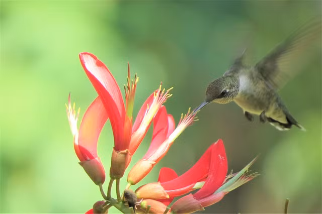 Gio sinh cua nguoi tai an noi, gioi kiem tien, nua doi phu quy