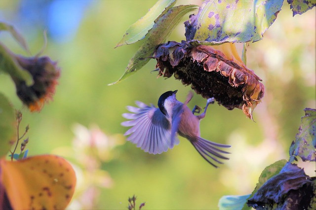 Gio sinh cua nguoi tai an noi, gioi kiem tien, nua doi phu quy-Hinh-3