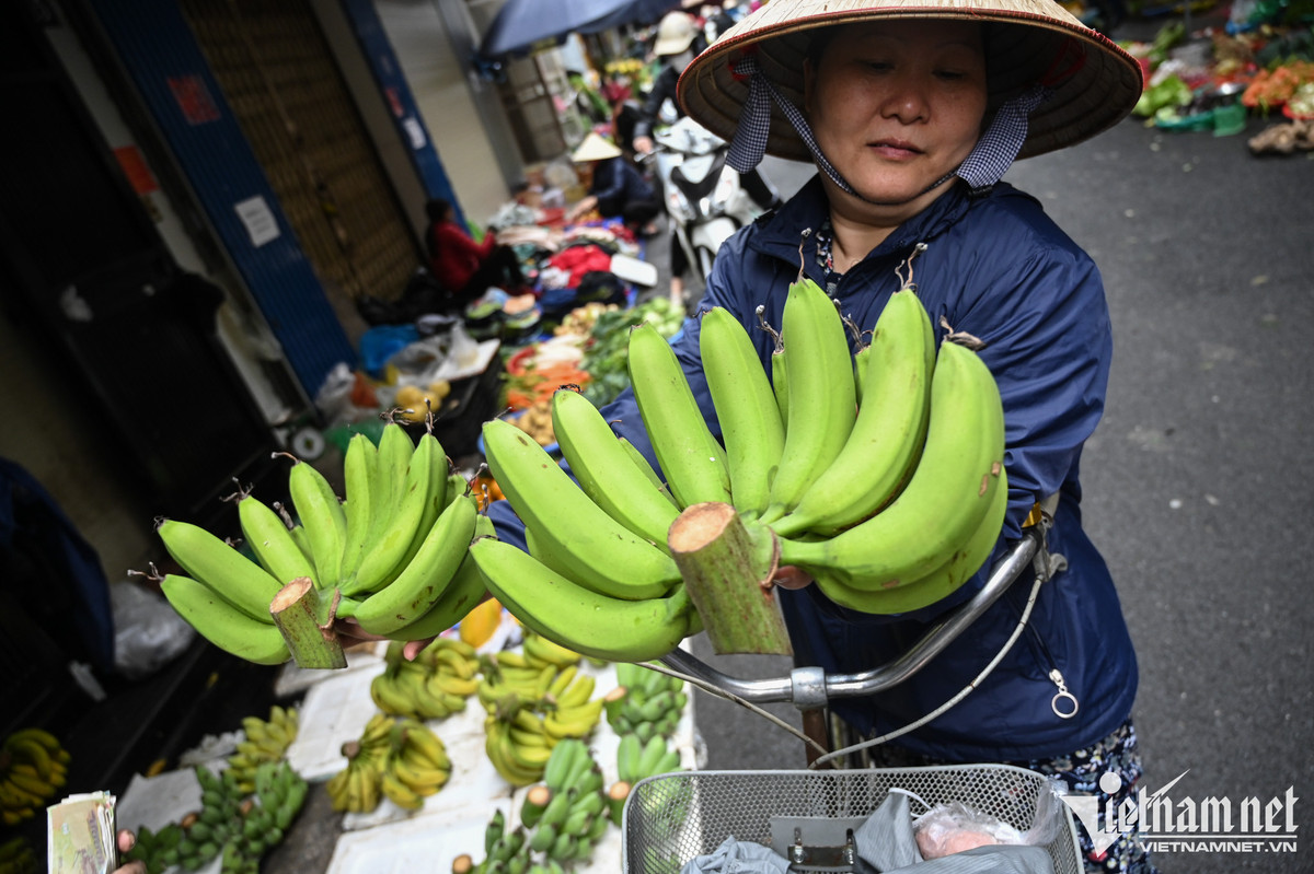 Một phụ nữ đắn đo chọn lựa chuối xanh để về đặt lễ gia tiên vào trưa nay. Bà cho biết, giá cả không có nhiều biến động, việc đi chợ cũng dễ dàng hơn. Nải chuối bà mua có giá 30.000 đồng, rẻ hơn so với đợt trước Tết Nguyên đán.
