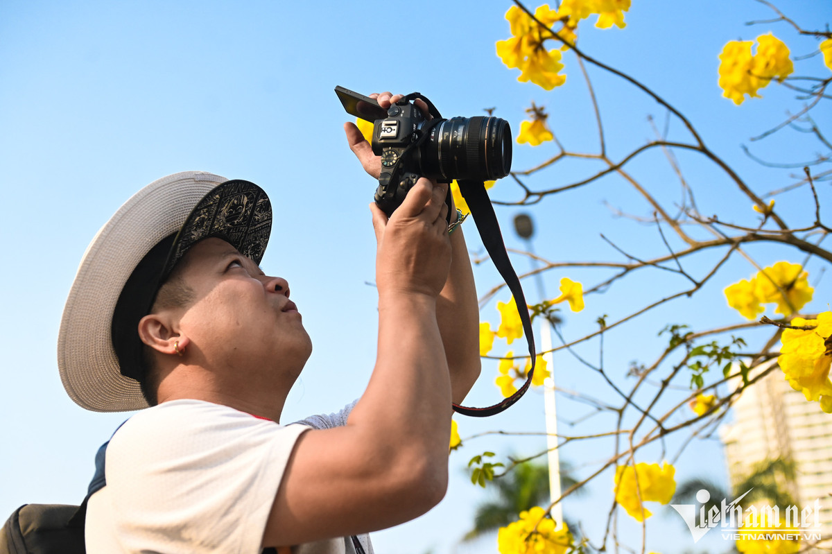 Hoa phong linh nở rộ làm cho đoạn đường nhỏ nổi bật hẳn lên, thu hút thêm nhiều nhiếp ảnh gia.