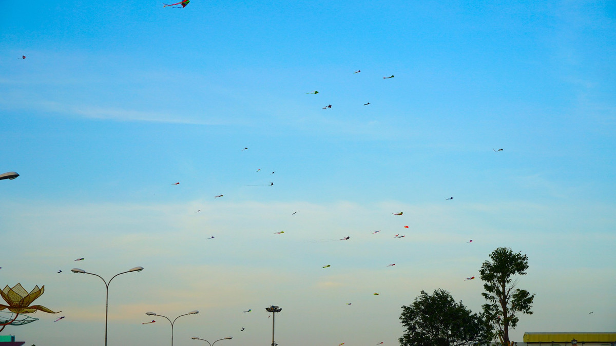 Những cánh diều bay rợp trời Tây Đô.