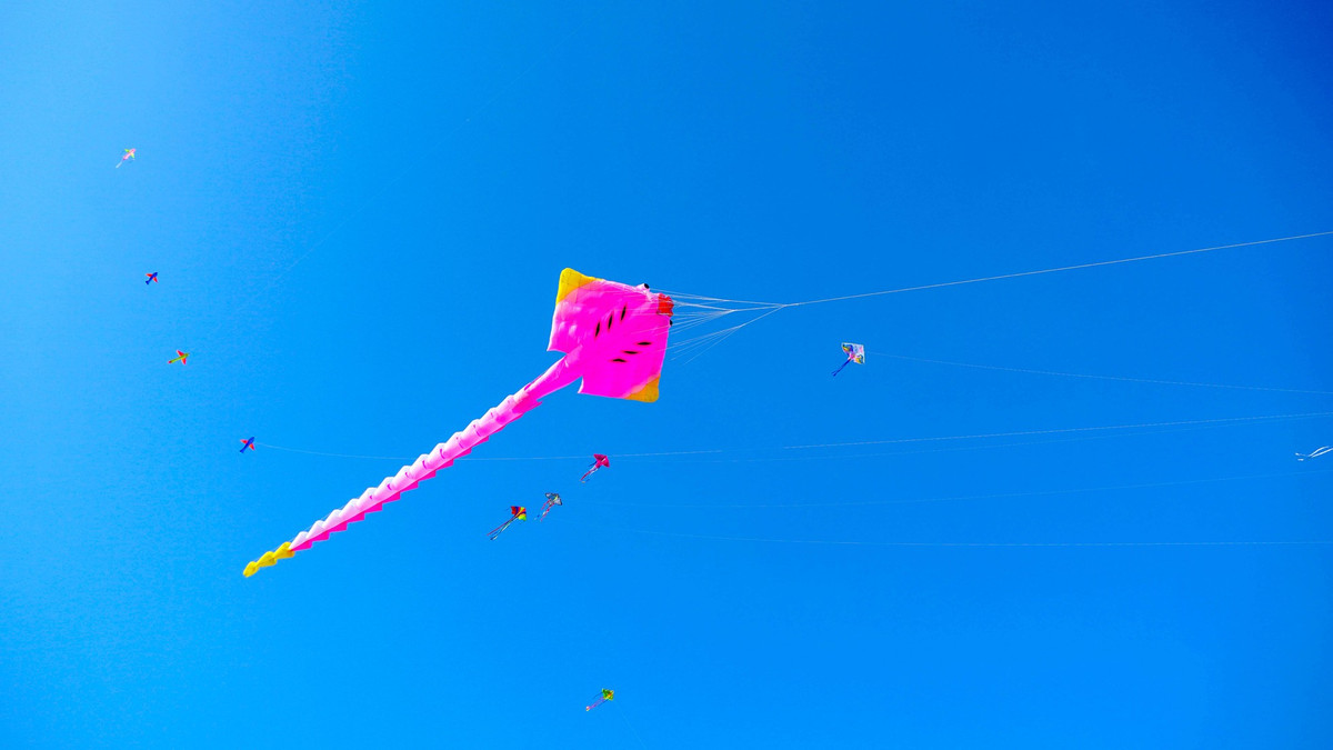 Anh Nguyễn Thái Huy – Người chơi diều “khổng lồ” cho biết, ban đầu cũng chỉ chơi những con diều truyền thống. Nhưng cách đây 3 năm, anh Huy tình cờ thấy ở TPHCM có thả những con diều khí động học siêu to khổng lồ rất thú vị nên anh bắt đầu tìm hiểu và lên các trang web nước ngoài đặt mua về chơi. Theo anh Huy, diều khí động học ở Việt Nam hiện nay loại kích cỡ nhỏ nhất là 6m2, loại lớn nhất là 200m2, cao nhất khoảng 15m. Riêng loại diều có đèn tại Cần Thơ hiện đang có hai con, dùng pin sạc, có thể chơi được cả ban ngày và ban đêm chiếu sáng rất đẹp.