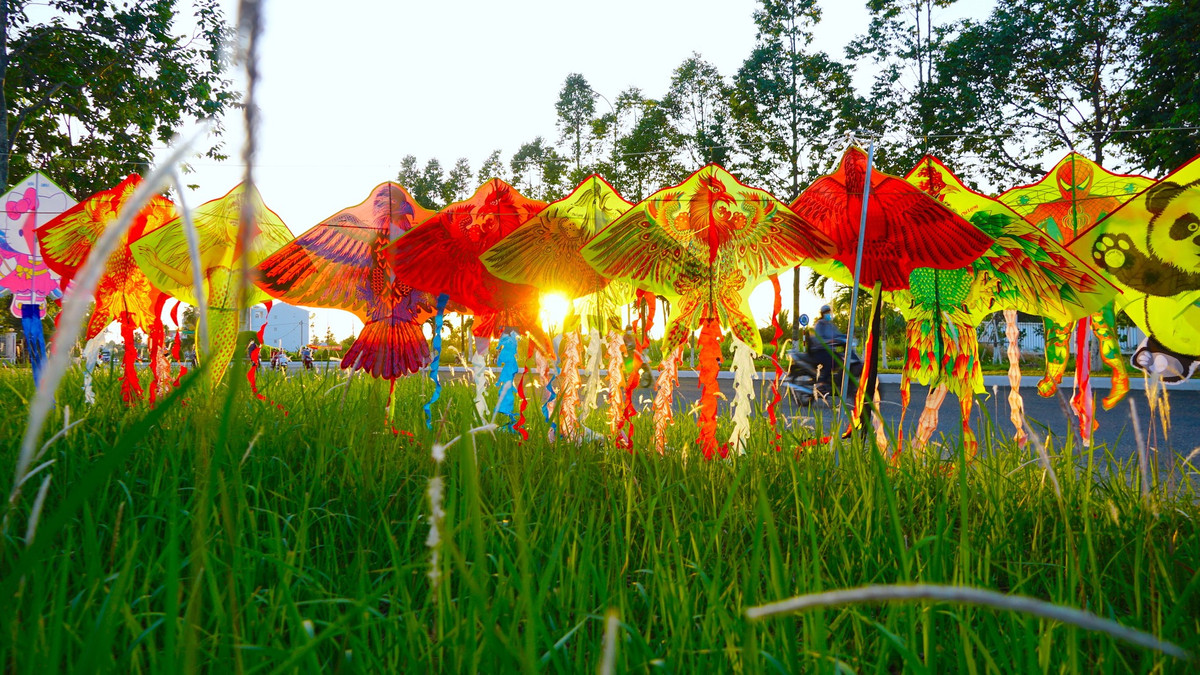 Những cánh diều màu sắc rực rỡ.