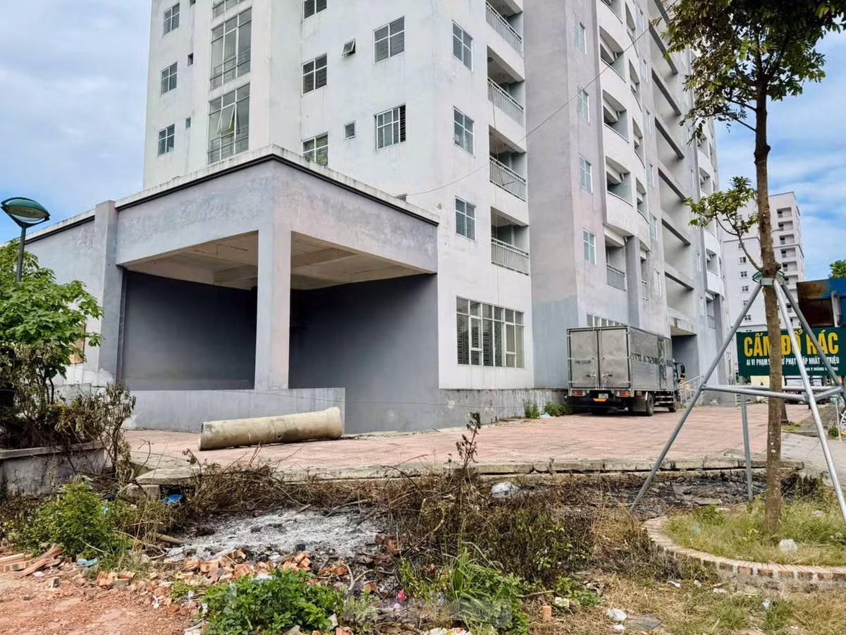 Khu tai dinh cu Den Lu III bo hoang sap duoc cai tao-Hinh-12