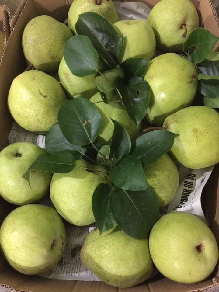 Dac san Ha Giang mat lim, ngot nhu duong danh dat hang Trung Quoc-Hinh-4