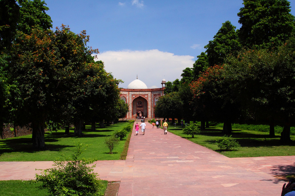 Trong vườn cũng có trồng nhiều loài cây mang bóng mát và cây ăn quả, thu hút khá nhiều chim chóc về kiếm ăn, làm tổ.