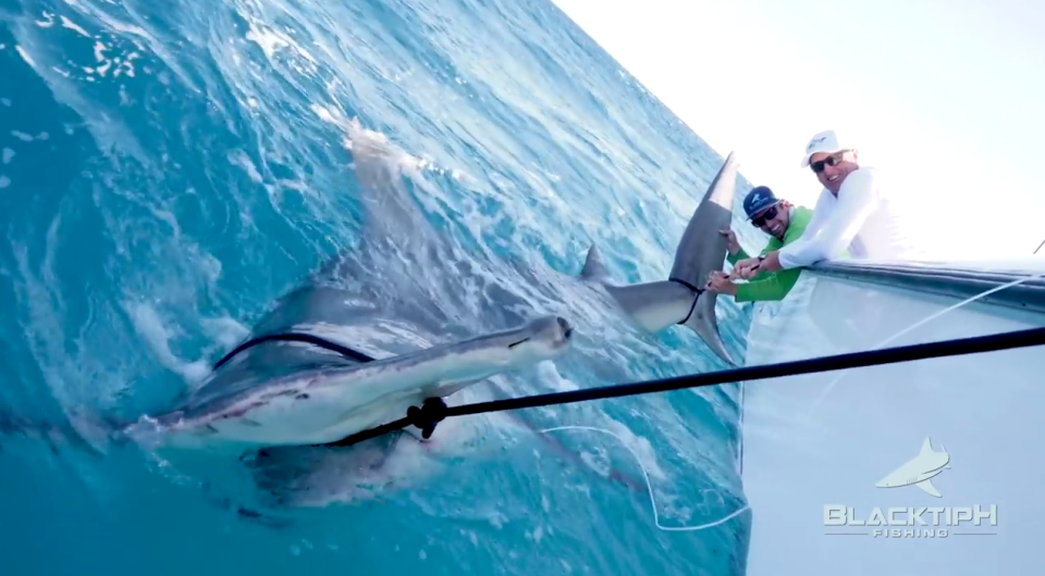 Ca map to ky luc cuop moi ngu dan, keo thuyen 10 tan