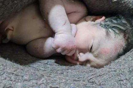 Be gai song sot duoi dong do nat o Syria, day ron con dinh me